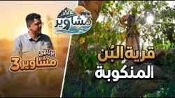 برنامج مشاوير3 | الحلقة 17 | تقديم سالم الخضر | قرية البُن المنكوبة ج1 برنامج مشاوير3 | الحلقة 17 | تقديم سالم الخضر | قرية البُن المنكوبة ج1