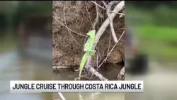 Adventures in Costa Rica: Jungle cruise