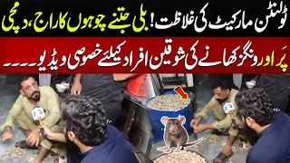 Tollinton Market Ki Galazat | Billi Jitney Chuhon Ka Raaj | Lahore Puchta Hai