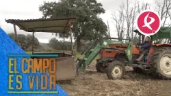 Marifé mueve los pajeros hacia una zona más seca | El campo es vida