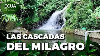 Ecuaterra🌱 Cotopaxi: family closes metal foundry and bets on ecotourism | Ecuavisa