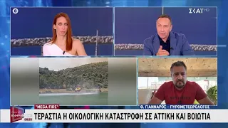 Τεράστια η οικολογική καταστροφή σε Αττική και Βοιωτία | Πρωινή Ενημέρωση | 03/08/2026