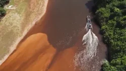 #Audiodescrição | Pantanal ganha estatuto próprio com diretrizes para a conservação do bioma #Audiodescrição | Pantanal ganha estatuto próprio com diretrizes para a conservação do bioma