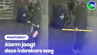 Alarm scares burglars away from phone store | Crime Scene