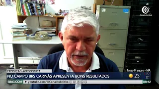 BRS Carinás yields 40% more forage mass compared to Basilisk Decumbens