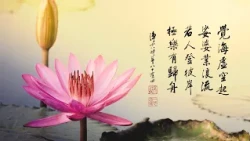 淨空老法師｜大經專修（二）｜佛菩薩的事業就是教化眾生-第0213集