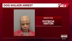 Estero woman accused of pointing gun at man walking his dog