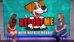 Rescue Me: Mutts in a Rut