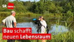 Wie die Baustoffindustrie bedrohte Arten schützt | Saar Natur