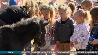 Állatok gondozásával ismerkedtek az óvodások a világnap alkalmából - 2026.10.01.