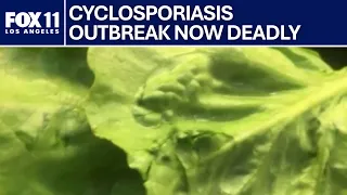 2 U.S. deaths reported in cyclospora outbreak