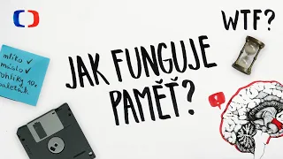 Proč zapomínáme? | What the Fact?