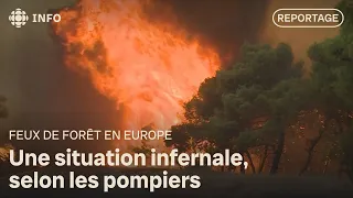 Wildfires in Europe: Greece continues to burn
