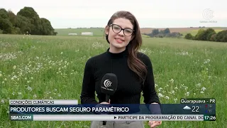 Produtores do RS recorrem a seguro paramétrico para eventos climáticos