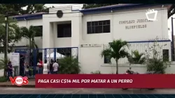 Man must pay nearly 14,000 córdobas for the death of a dog