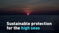 Sustainable protection for the high seas