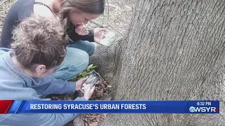 A project to spruce up Syracuse's tree canopy takes Le Moyne students to the woods