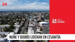 Ñuble y Biobío lideran la cesantía a nivel nacional | 24 Horas TVN Chile