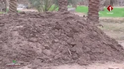 تونس الخضراء