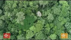 La tutela delle foreste e dell'acqua