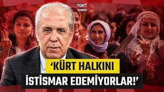 Şamil Tayyar Analyzes the Framework Law: 'No Autonomy or Right to Hope!' - Media Critique