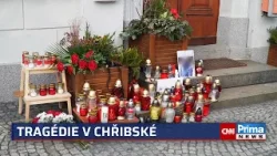 Postřelili úřednici v Chřibské policisté? Riziko je při takovém zásahu vždy, vysvětluje expert Postřelili úřednici v Chřibské policisté? Riziko je při takovém zásahu vždy, vysvětluje expert