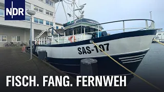 Die Hochseefischer von der Ostseeküste | Nordstory Spezial | NDR Doku