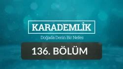 Hatay - Karademlik 136.Bölüm