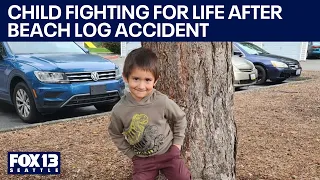 Beach driftwood collapse injures 6-year-old boy