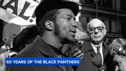 Black Panther Party marks 60 years as Chicago legacy carries on
