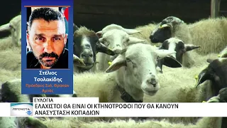 Δύο χρόνια από την πρώτη θανάτωση κοπαδιού λόγω ευλογιάς στον Έβρο