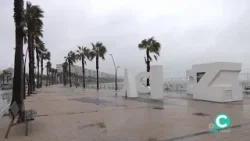 NOTICIAS OC 2º EDICIÓN 03 02 2026 ONDA CADIZ TV