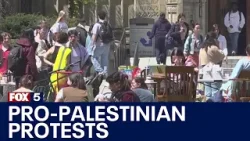 Pro-Palestinian protesters at US universities | FOX 5 News