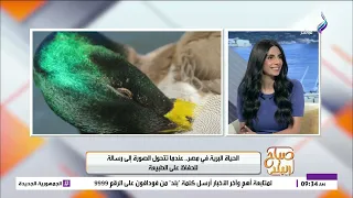المهندس تامر سليم يكشف كواليس خطيرة لالتقاط صورة برية في غاية الجمال وتخليد ذكريات هامة