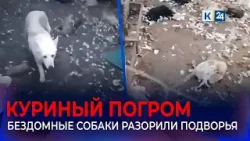В Ейском районе отловят агрессивных собак, убивающих домашних птиц и кроликов