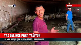 Money Rains Down When Summer Hits! Those in This Profession Earn 250 Thousand Lira a Month