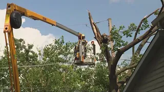 Teams totaling up storm damage in south suburbs for potential aid