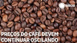 Preços do café devem continuar oscilando no mercado
