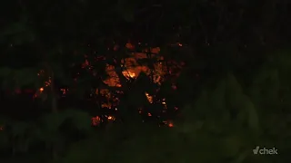 Suspicious brush fire breaks out in Courtenay's Lerwick Nature Park