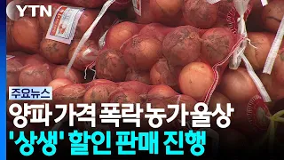 Onion Prices Plummet, Farmers Face Losses... 'Win-Win' Discount Sale / YTN