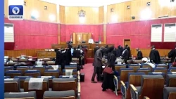 Appeal Court Upholds Arobo’s Candidacy For OwoOse Federal Constituency
