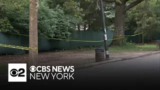 2 teens stabbed after scooter robbery in Queens, police say