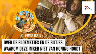 From bee stings to sticky honey: it's not easy being a beekeeper