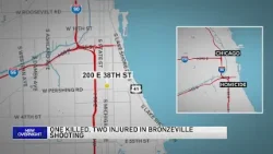 По данным полиции Чикаго, в результате стрельбы, произошедшей поздно вечером в субботу на юге гор...