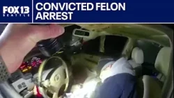 Video shows arrest of armed convicted felon in Maple Valley | FOX 13 Seattle