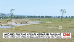Ancang-Ancang Hadapi Kemarau Panjang di Indonesia