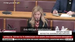ΚΡΙΤΙΚΗ Μ  ΤΖΟΥΦΗ ΓΙΑ ΤΟ ΝΟΜΟΣΧΕΔΙΟ ΠΟΥ ΑΦΟΡΑ ΣΤΗΝ ΚΑΛΛΙΤΕΧΝΙΚΗ ΕΚΠΑΙΔΕΥΣΗ