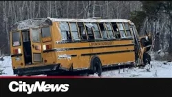 Calls for seatbelts in school buses getting louder in Manitoba