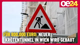 New toad tunnel being built in Vienna for 800,000 euros