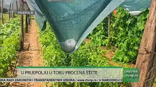 Opština Prijepolje procenjuje štetu nakon nevremena, ekipe obilaze teren
